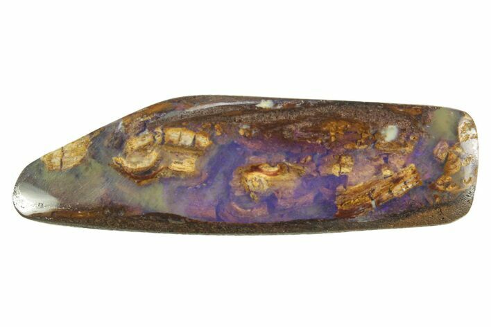 Galactic Boulder Opal Specimen - Queensland, Australia #381905